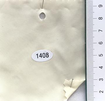 1408 Ivory