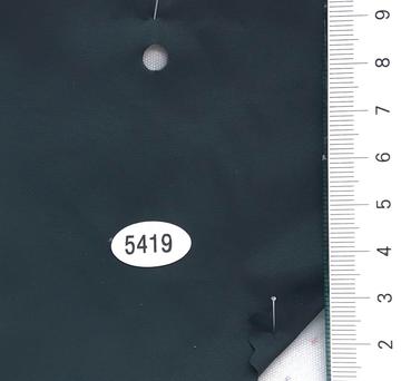 5419 Deep Green
