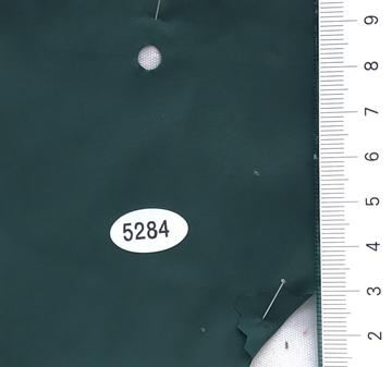 5284 Green