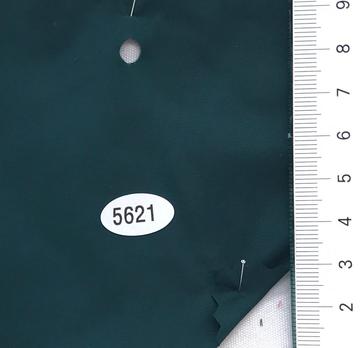 5621 Turquoise