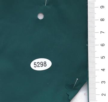 5298 Green