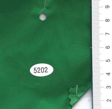 5202 Green