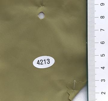 4213 Deep Green