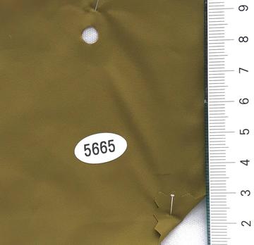 5665 Deep Green