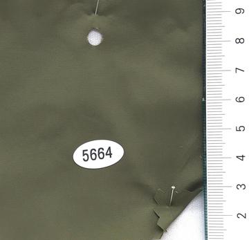 5664 Deep Green