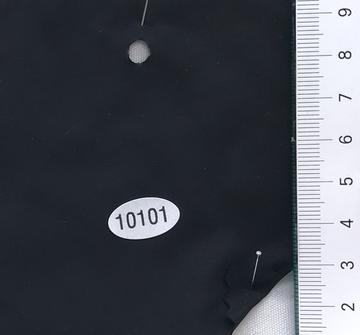 10101 Black