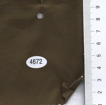 4672 Brown