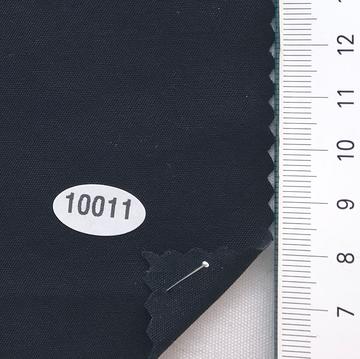 10011 Black