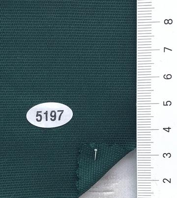 5197 Deep Green