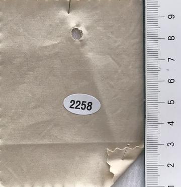 2258 Ivory