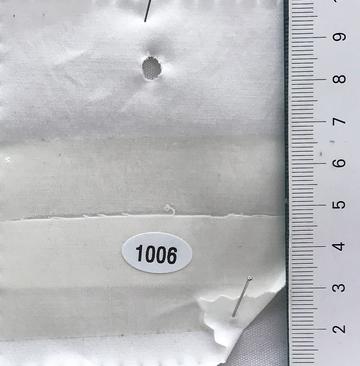 1006 White