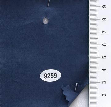 9259 Blue