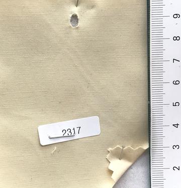 2317 Ivory