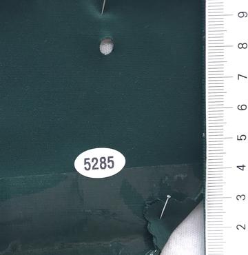 5285 Deep Green
