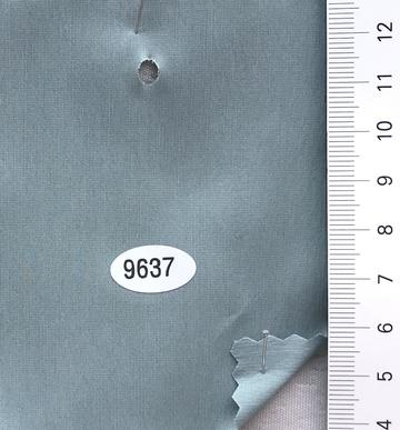 9637 Pale Green