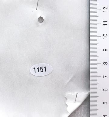 1151 Ivory