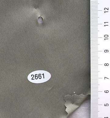 2661 Deep Green