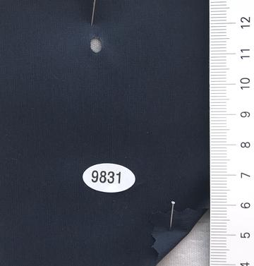 9831 Navy