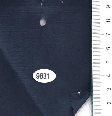 9831 Navy