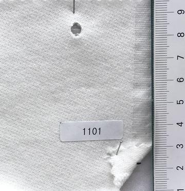 1101 Ivory