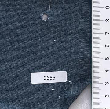 9665 Turquoise