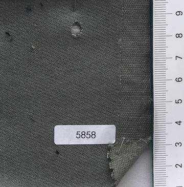 5858 Deep Green