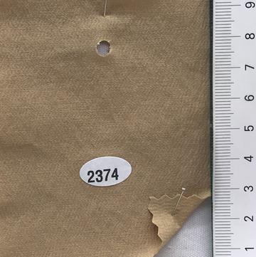 2374 Camel