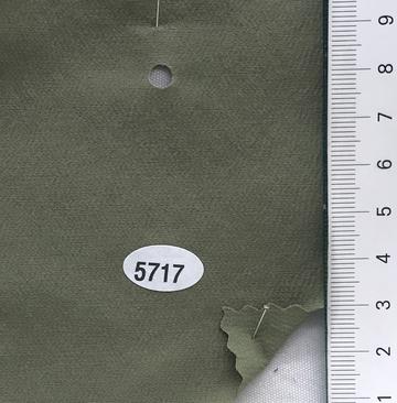 5717 Deep Green