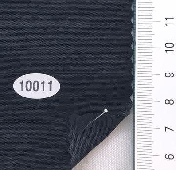 10011 Black