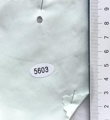 5603 Pale Green
