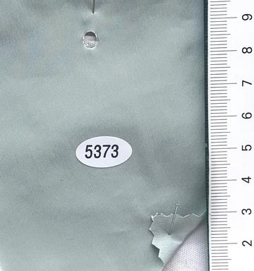 5373 Pale Green