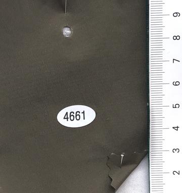 4661 Brown