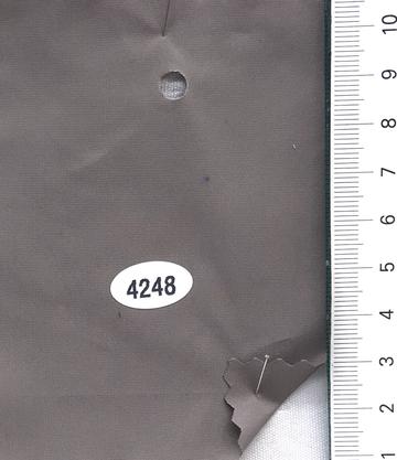 4248 Gray