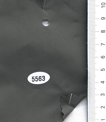 5563 Deep Green