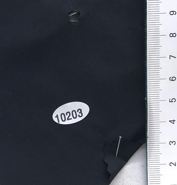 10203 Black