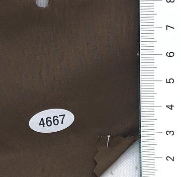 4667 Brown