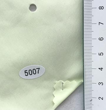5007 Pale Green