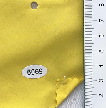 6069 Yellow