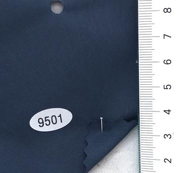 9501 Blue