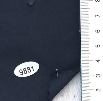 9881 Navy