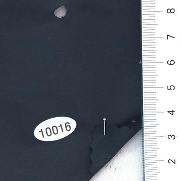 10016 Navy