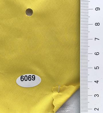 6069 Yellow
