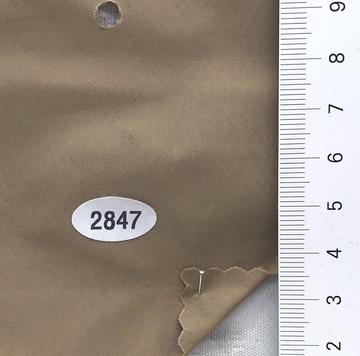 2847 Camel
