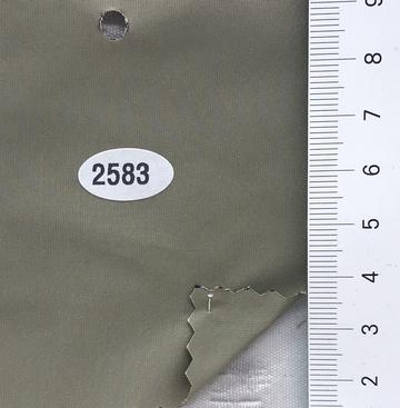 2583 Deep Green