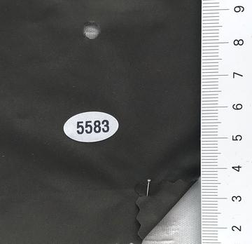 5583 Deep Green