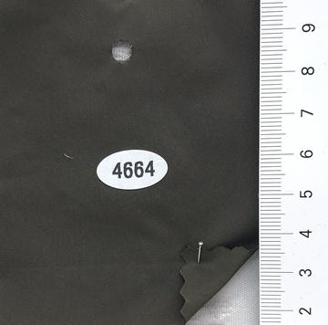 4664 Deep Green