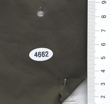 4662 Deep Green
