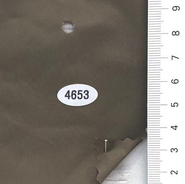 4653 Deep Green