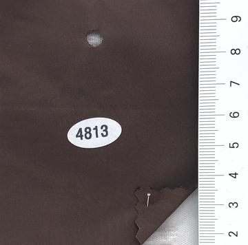 4813 Brown