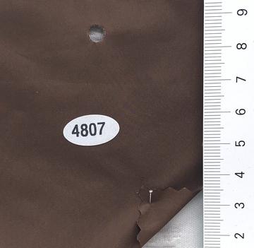 4807 Brown